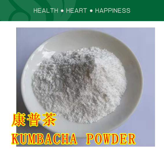 速溶康普茶