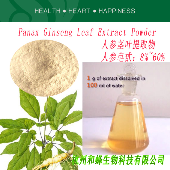 人参茎叶提取物