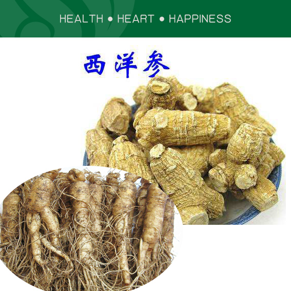 西洋参