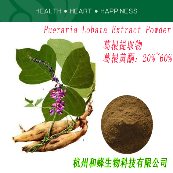葛根提取物