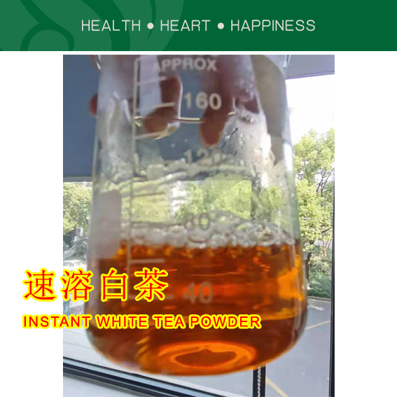速溶白茶粉