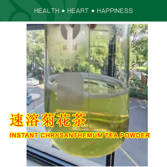 速溶菊花茶粉
