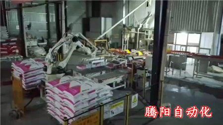 袋装饲料码垛机器人 袋装饲料码垛机器人