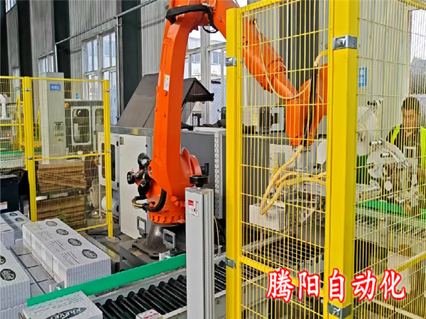 箱裝碼垛機(jī)器人