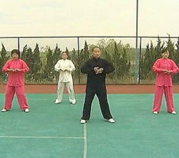 健身气功推荐--八段锦教学视频