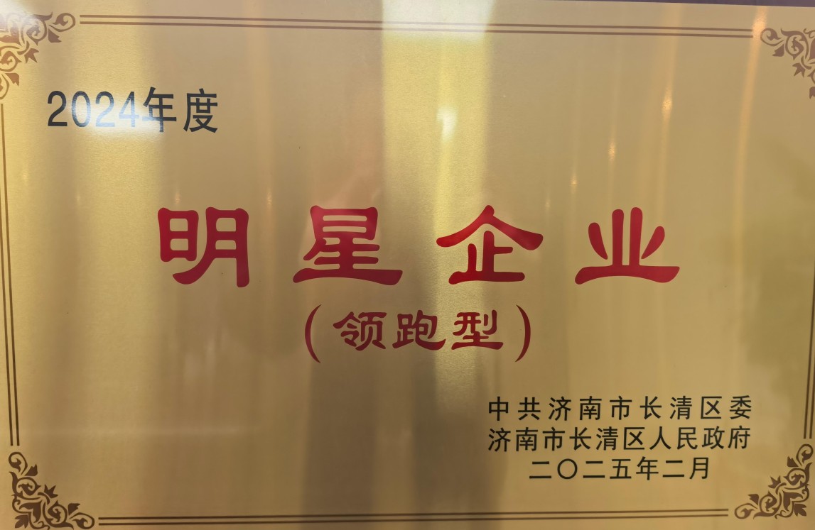 领跑型明星企业