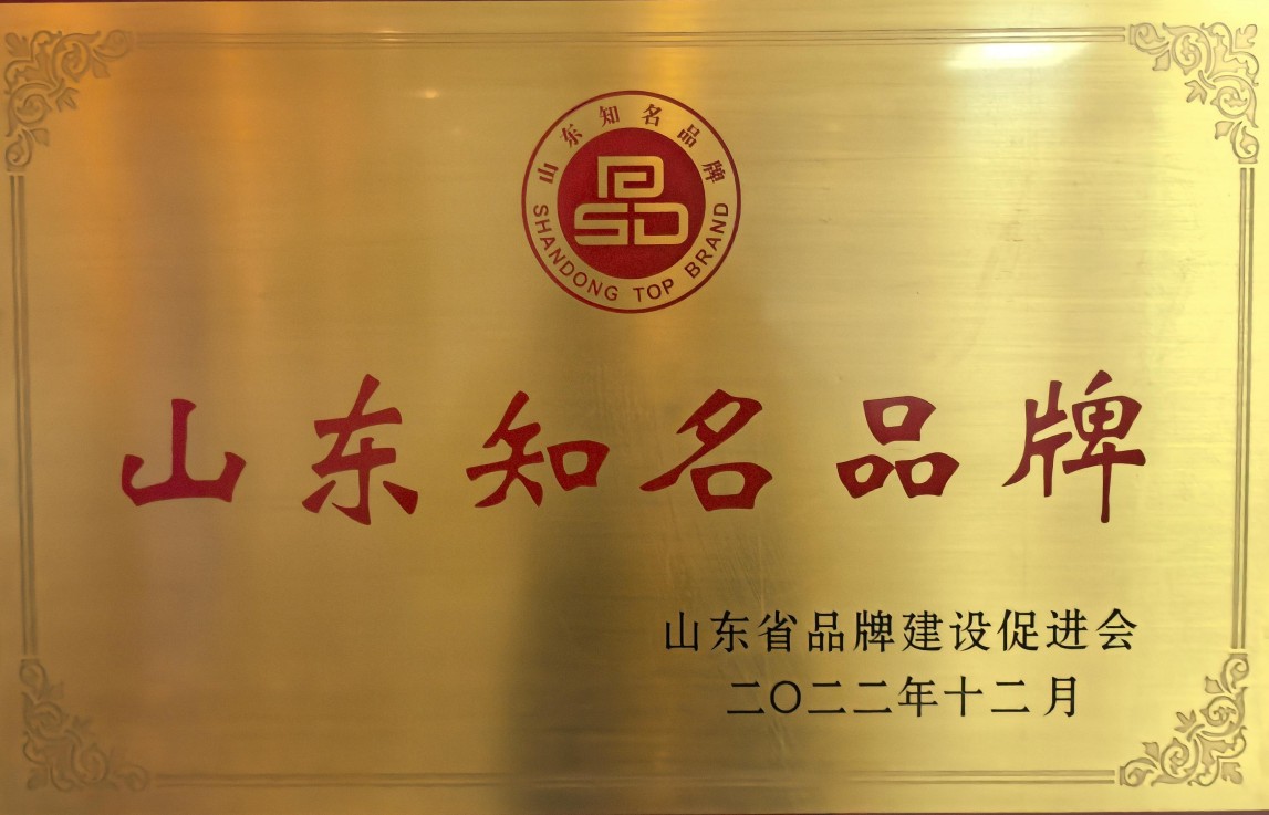 山东知名品牌