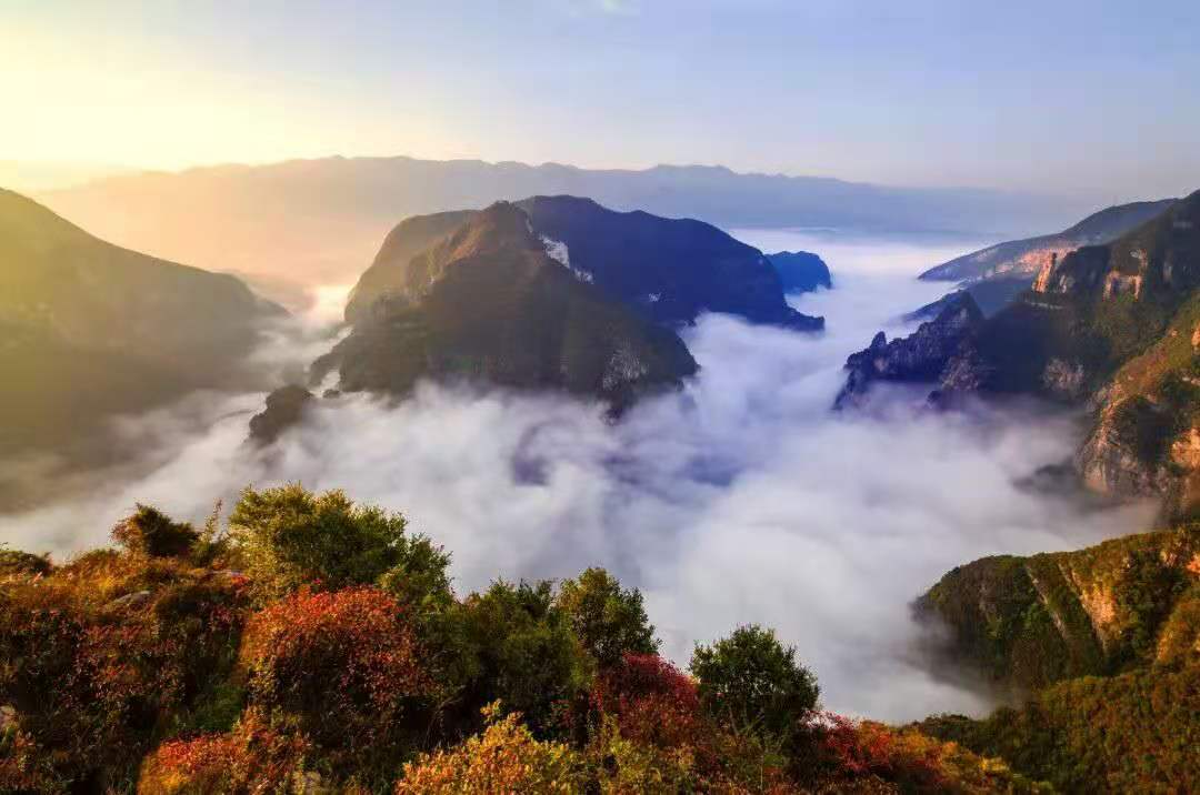 7，杨永兰摄..jpg