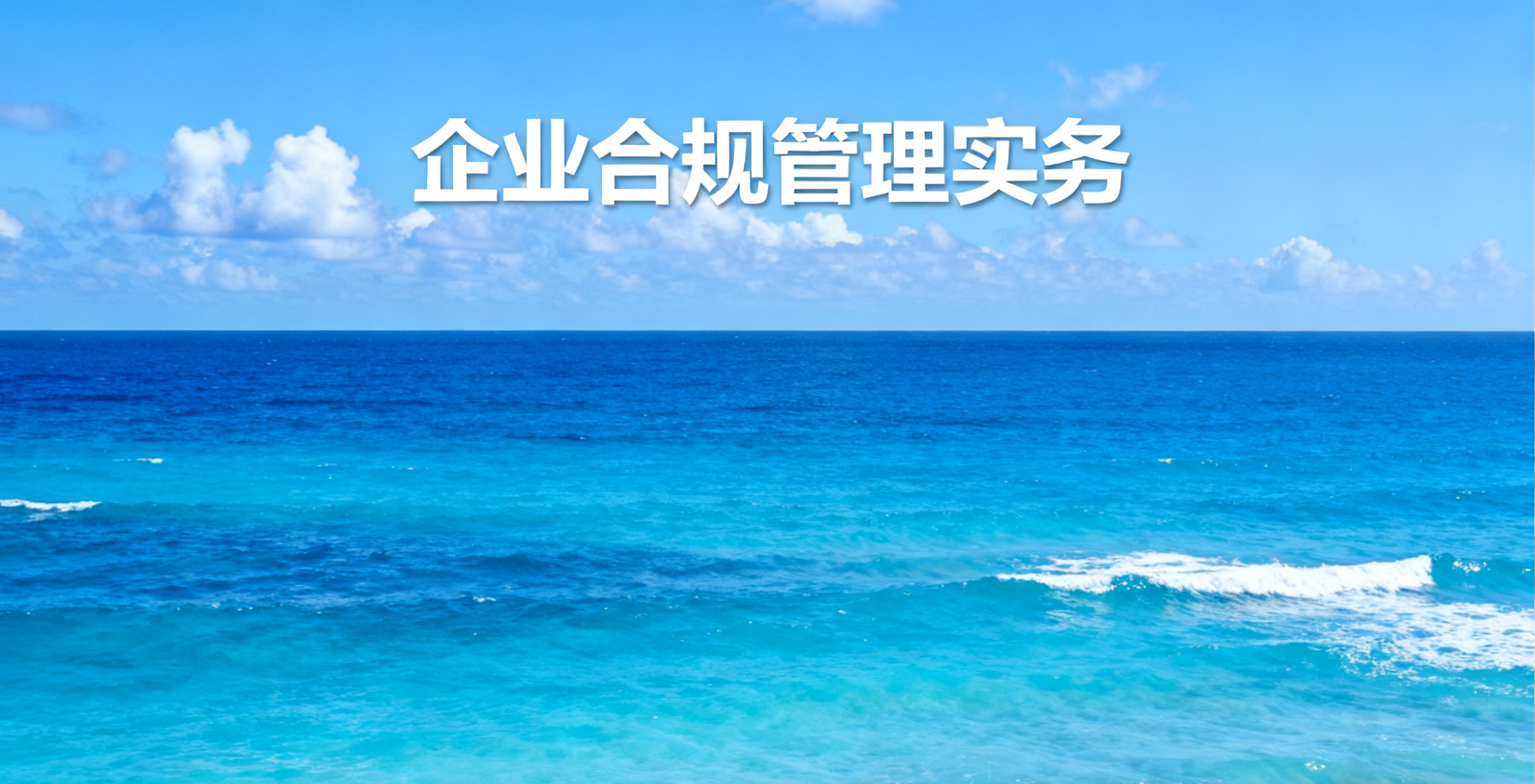 企业合规管理实务