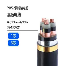 YJV22