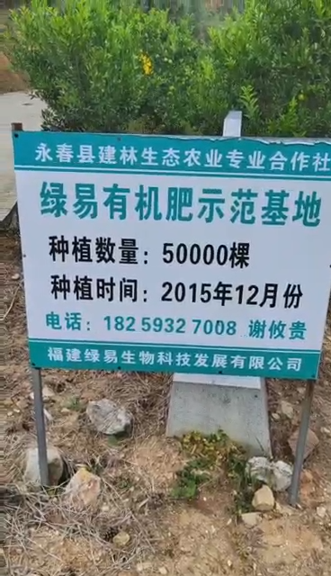 視頻展示