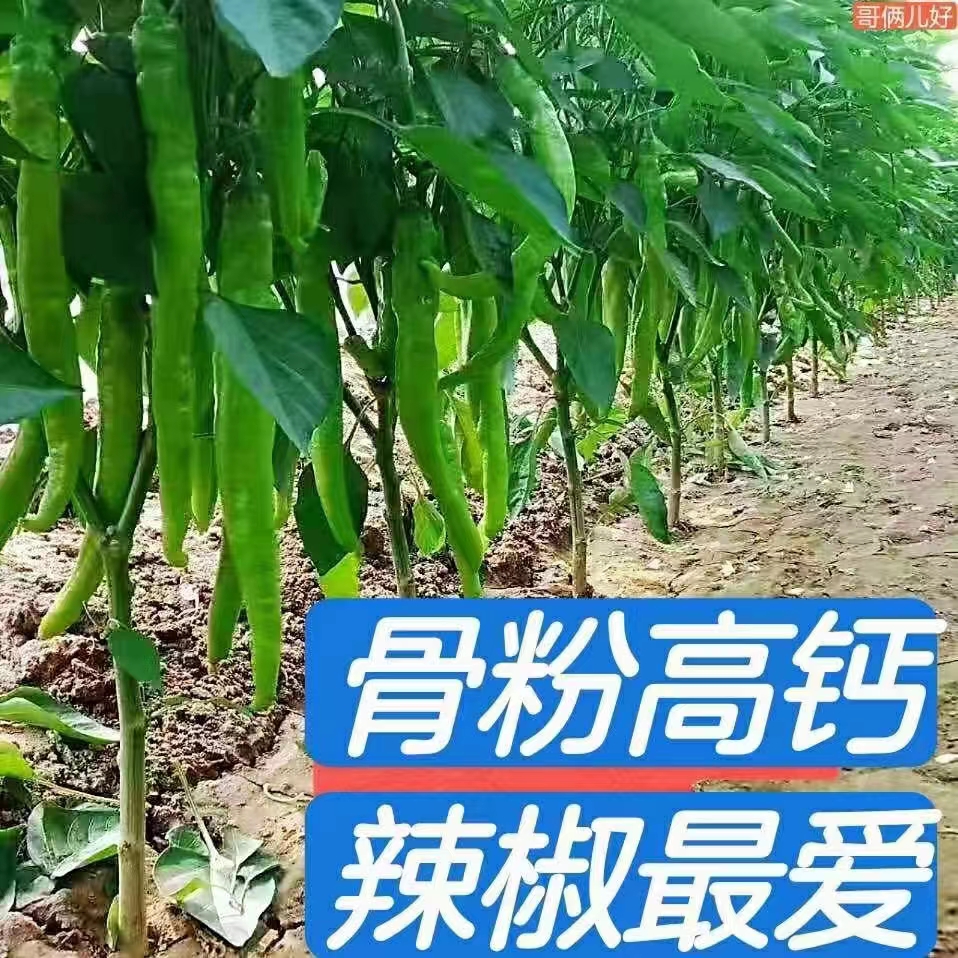 案例展示