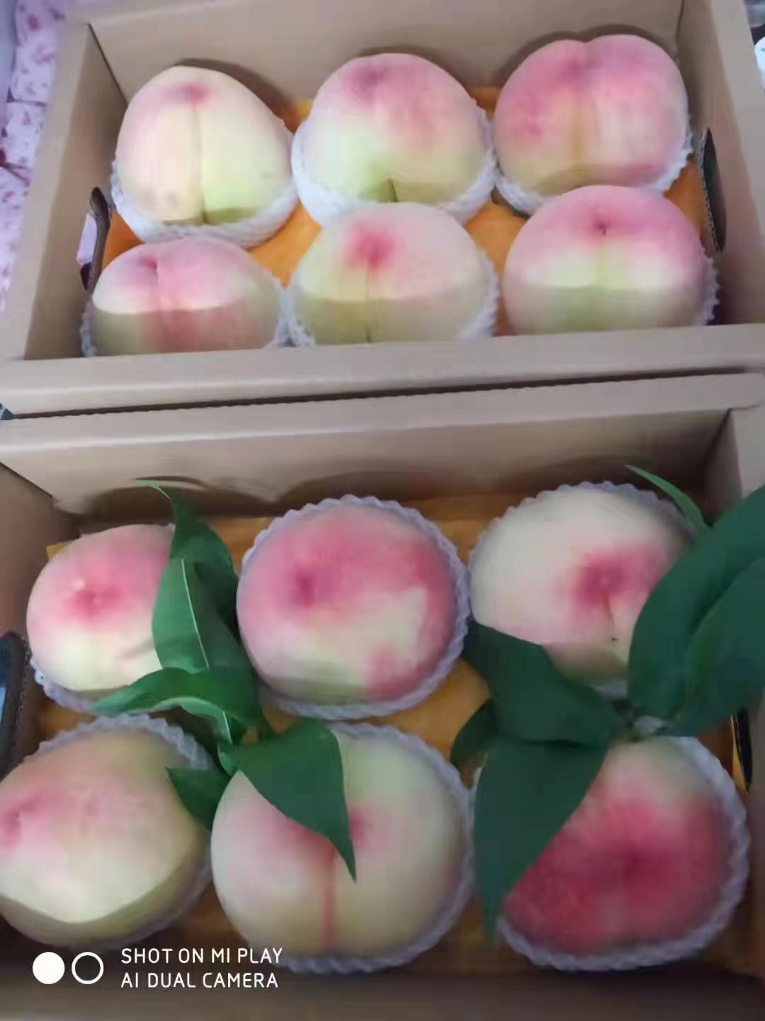案例展示
