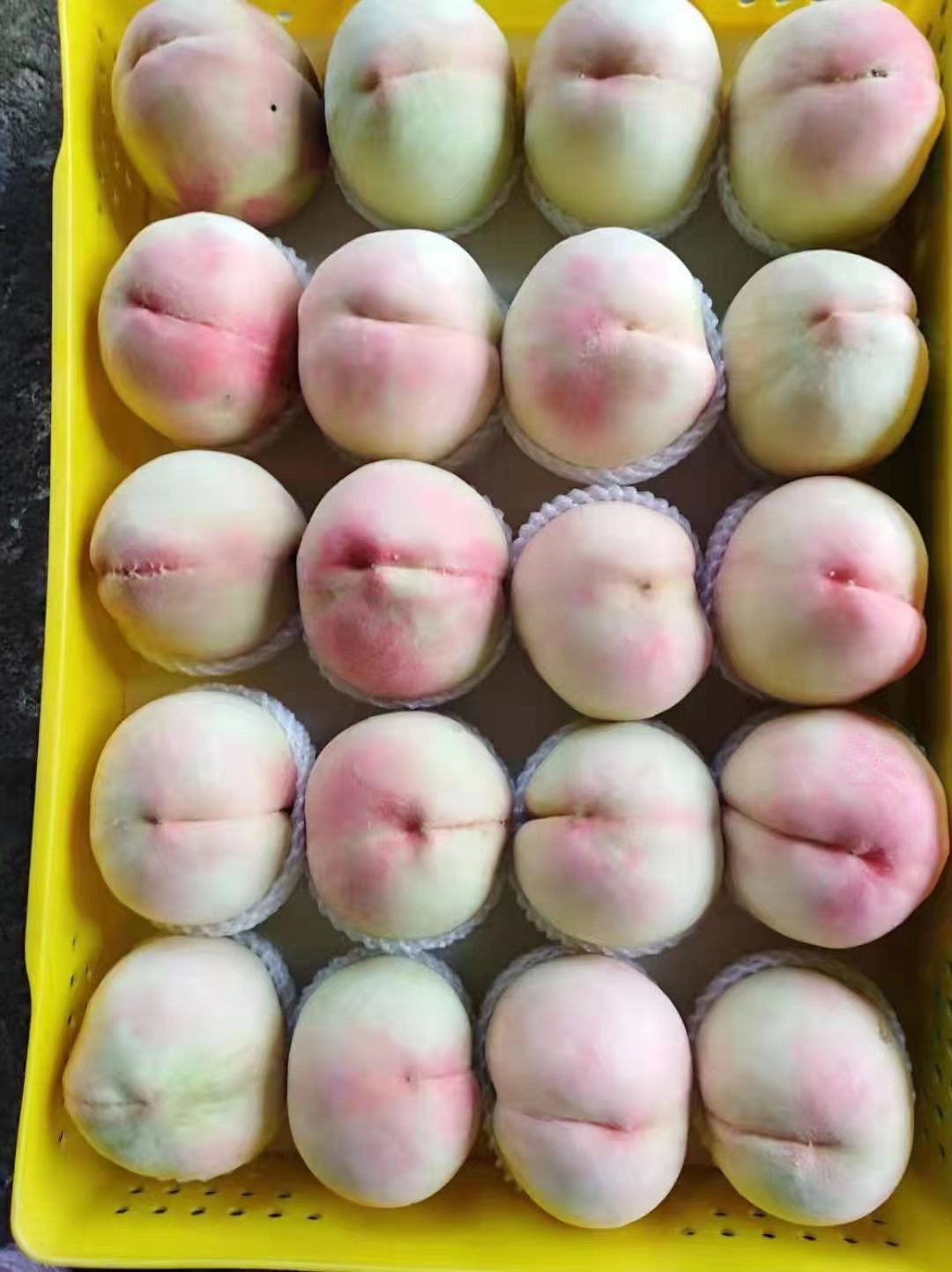 案例展示