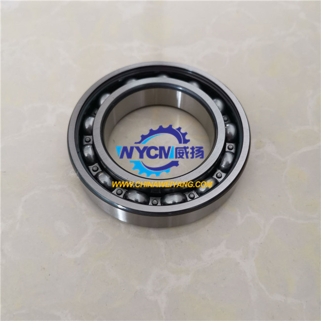 0750116100 ZF Bearing