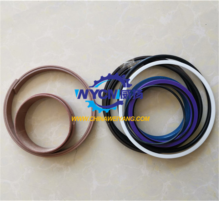 4120000868101 SDLG Seal kit