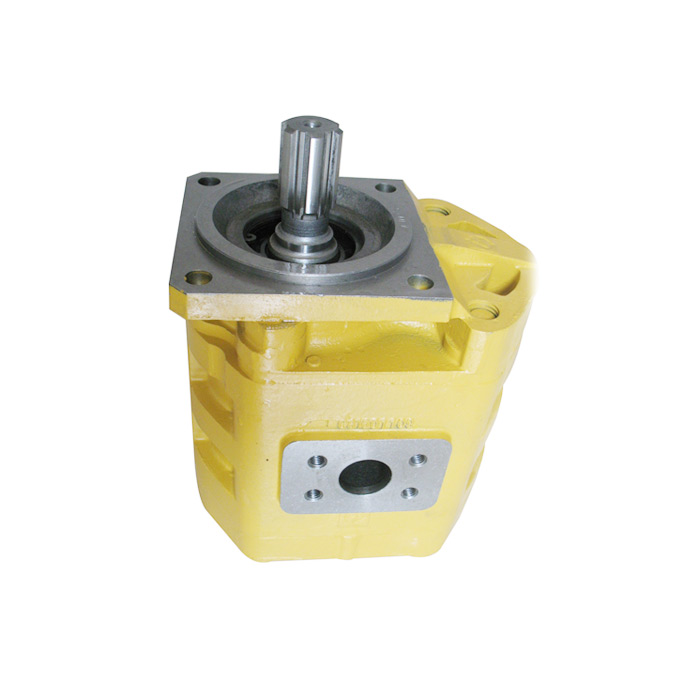Gear-Pump4