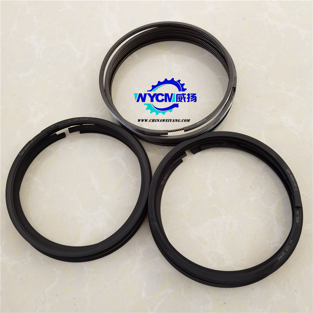 1006694 Piston Ring