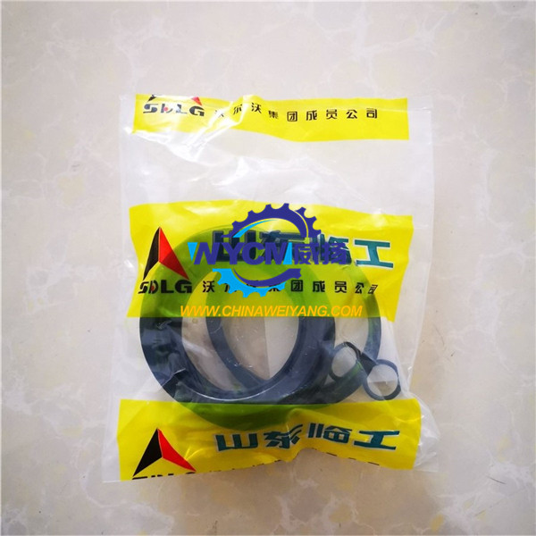 SDLG Caliper Seals