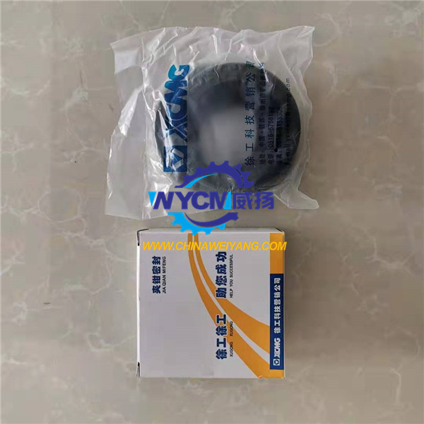 XCMG Caliper Repair Kits