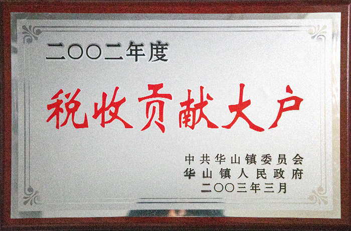 2002年度稅收貢獻大戶