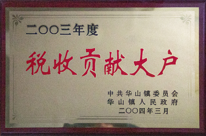 2003年稅收貢獻大戶