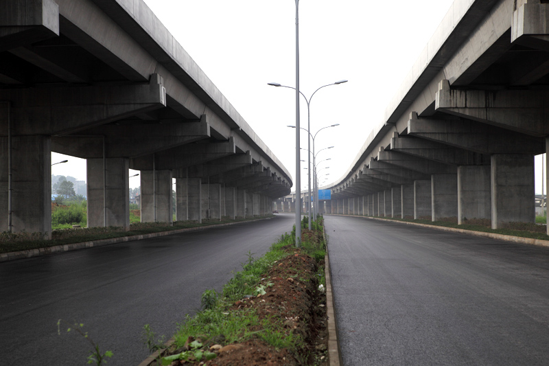 新成仁路