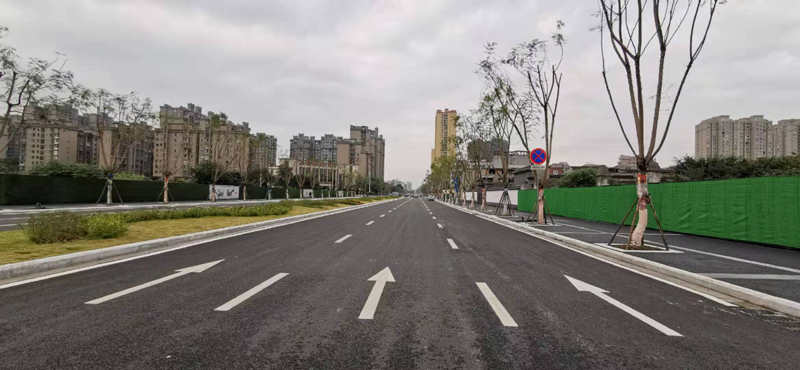 龍灣大道（靈石東路）品質(zhì)提升工程