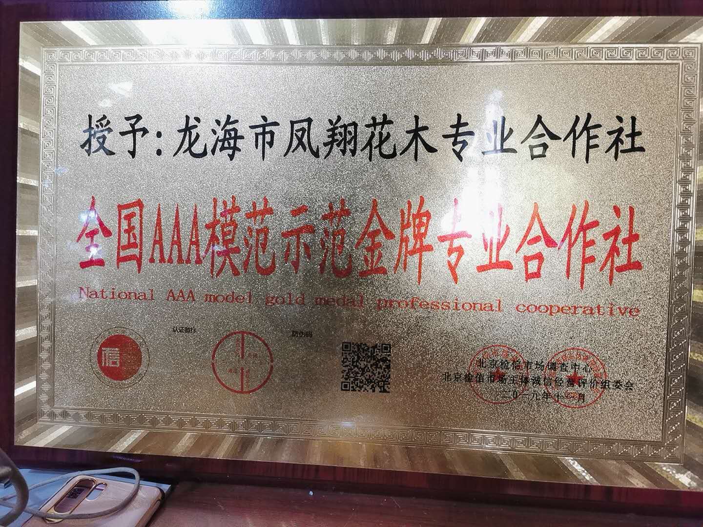 荣誉证书