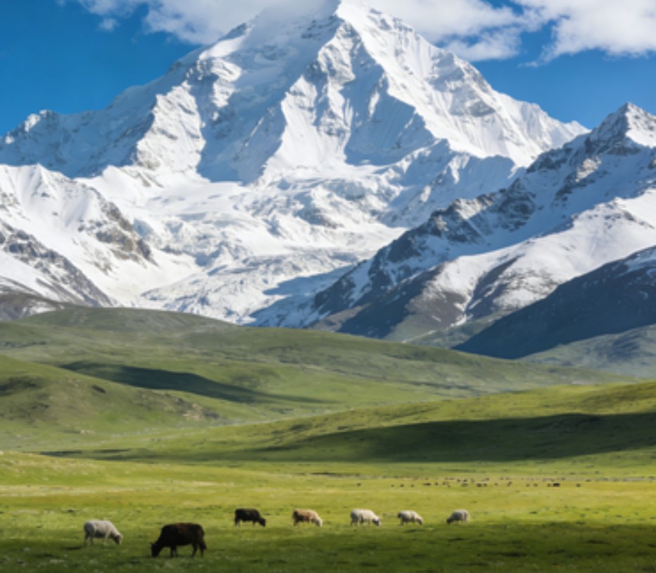 如何创作优质 SEO 内容：QRIES 框架实操指南