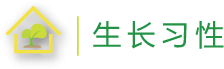 生长