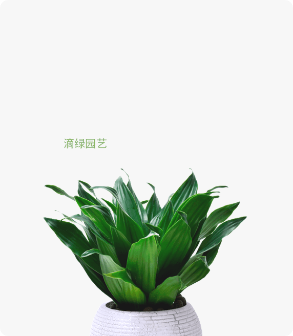 小太阳神