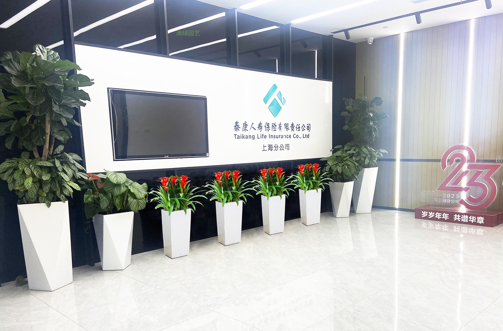 泰康人寿保险上海分公司绿植