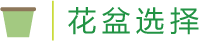 花盆