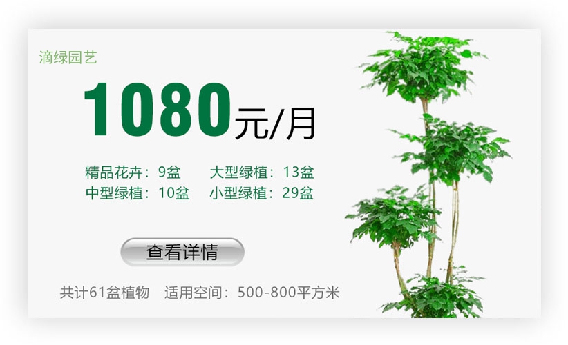绿植套餐
