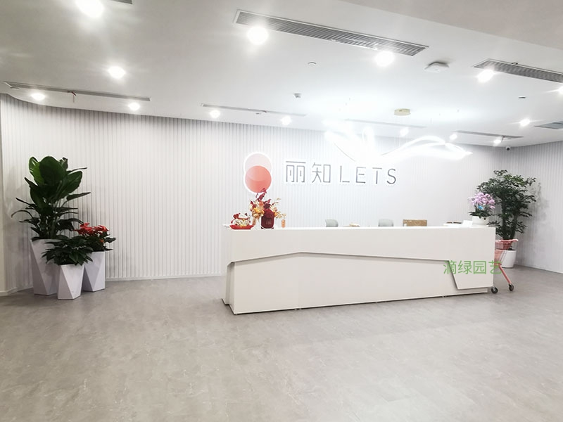 丽知集团绿植租摆