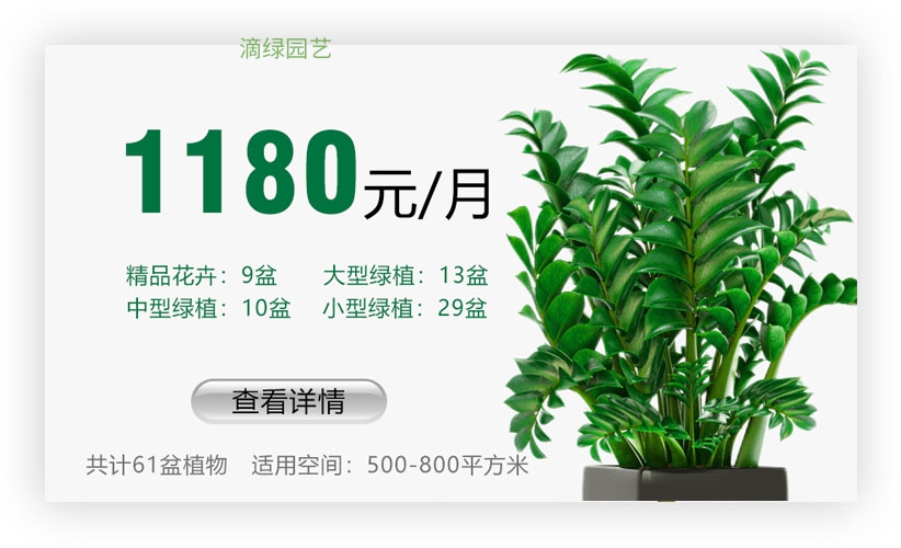 绿植套餐