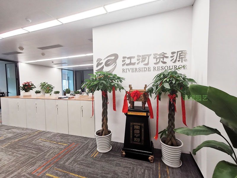 江河资源绿植租摆