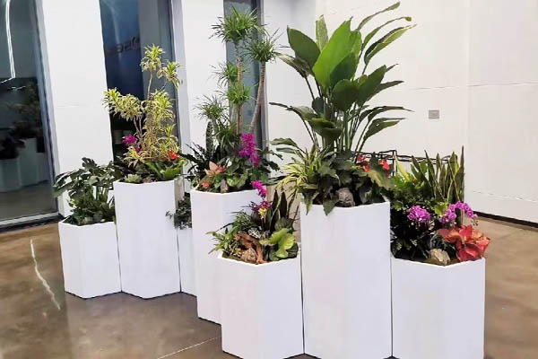 办公室绿植造景 办公室绿植造景