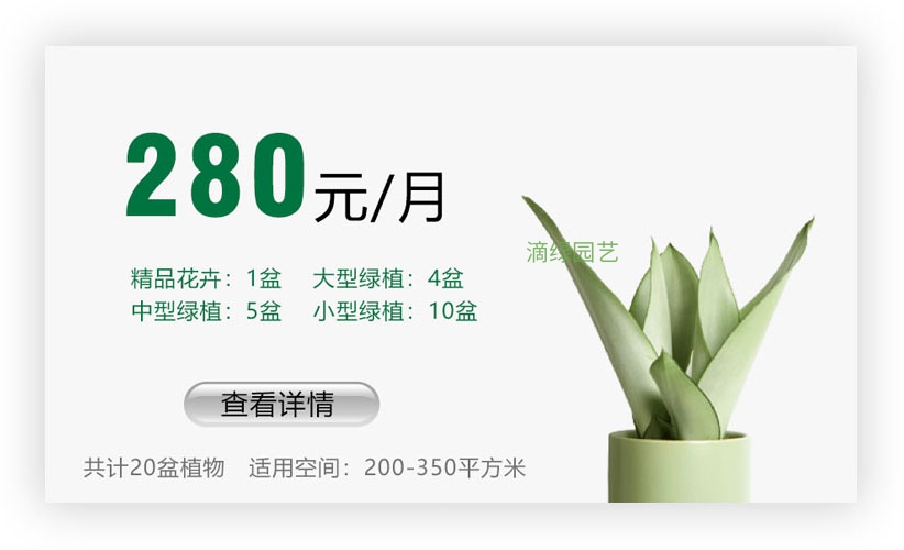 绿植套餐