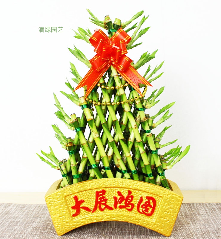 船形开运竹