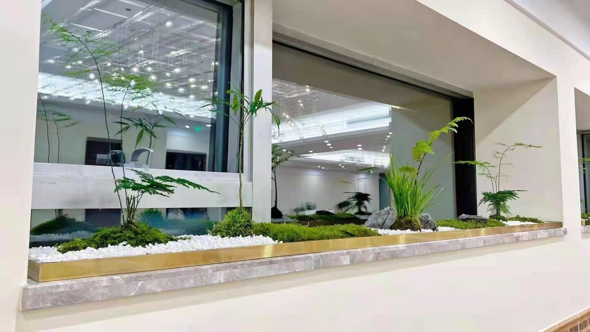 办公场所绿植造景