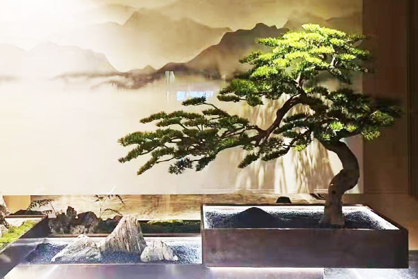 新办公室绿植租摆中必不可少的植物