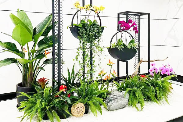 办公室绿植租摆 办公室绿植租摆
