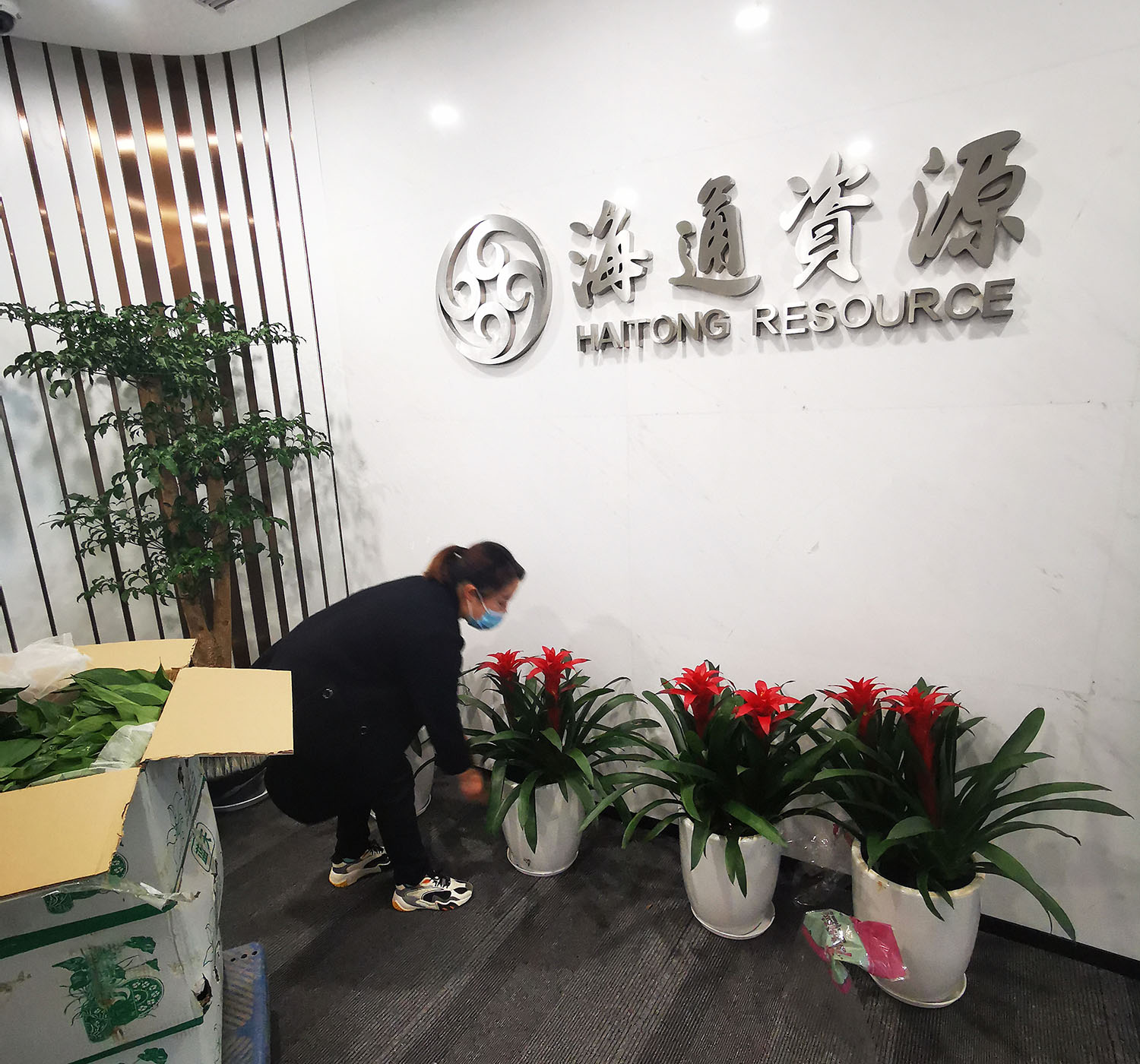海通资源新职场