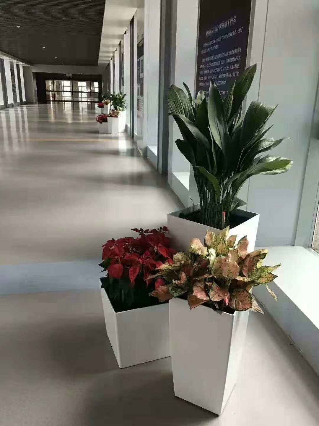 大型玻璃钢组盆