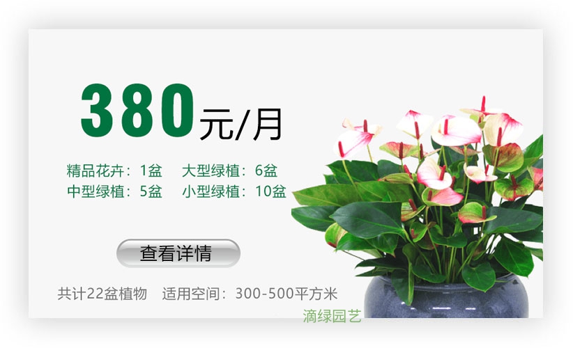 绿植套餐