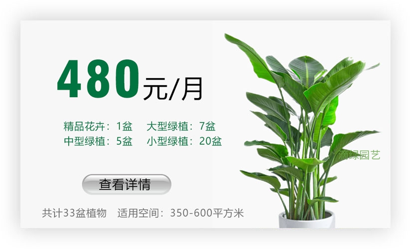 绿植套餐