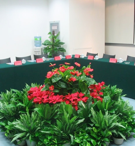 花卉租摆---我们承诺