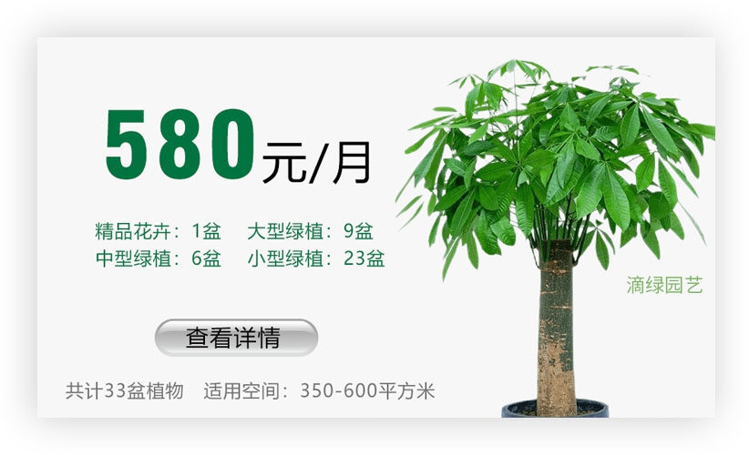 绿植套餐